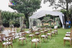 sewa-kursi-crossback 5 sewa_kursi_crossback 2